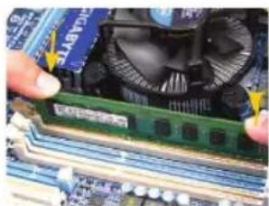 GIGABYTE GA-H55M-S2HP - תְרַעָה אַרְקֹרִים - 2