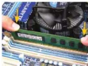 GIGABYTE GA-C847N-S2 - Installazione Del Modulo Di Memoria - 1