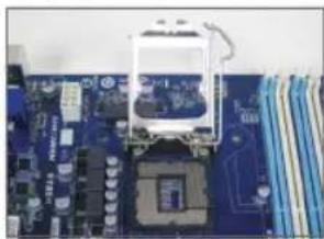 GIGABYTE GA-C847N-S2 - Installazione di una CPU Intel (saltare questa fase se la scheda madre ha una CPU integrata) - 1