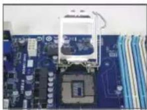 GIGABYTE GA-C847N-S2 - Installation d'un processeur Intel (sautez cette étape si la carte mère comprend un CPU intégré) - 1