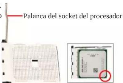 GIGABYTE GA-C847N-S2 - Instalación del procesador AMD (omita este paso si la placa base tiene una CPU integrada) - 1