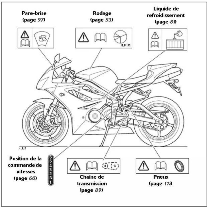 TRIUMPH Daytona 675 SE (2010) - ETIQUETTES D'AVERTISSEMENT - 1