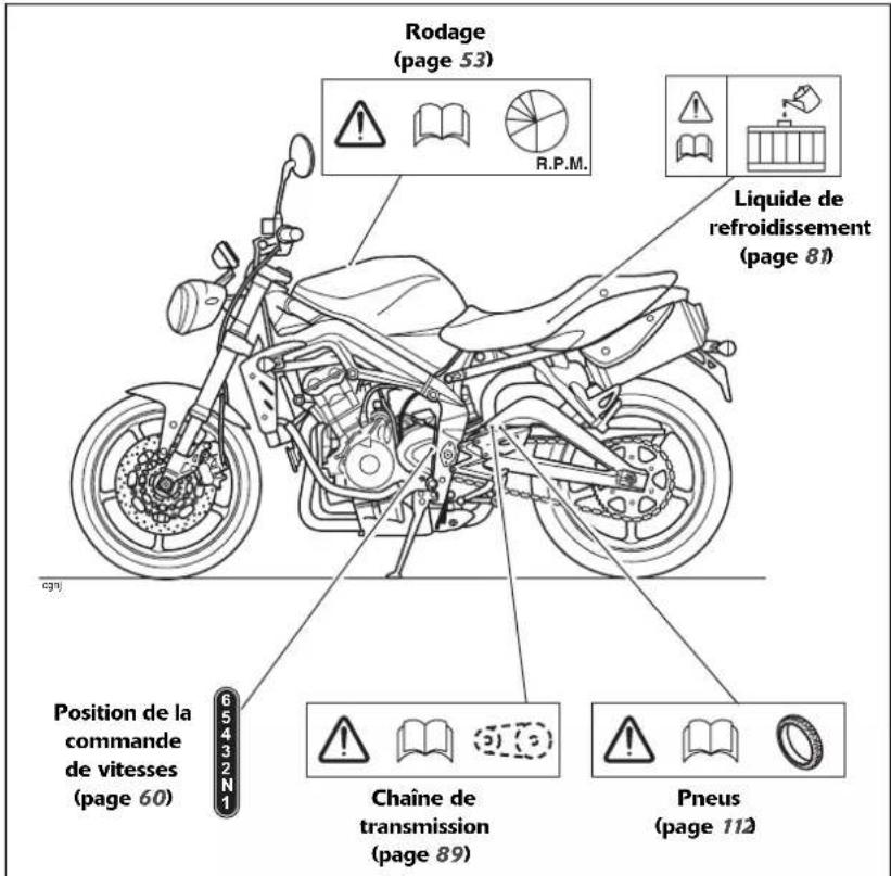 TRIUMPH Daytona 675 SE (2010) - Attention - 1