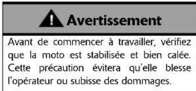 TRIUMPH Daytona 675 SE (2010) - Contrôle de la flèche de la chaîne - 2