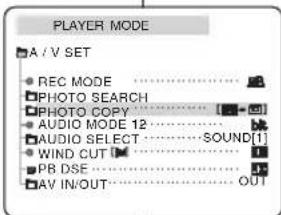 SAMSUNG SCD250 - Copie d'images fixes d'une cassette sur la carte Memory Stick - 2