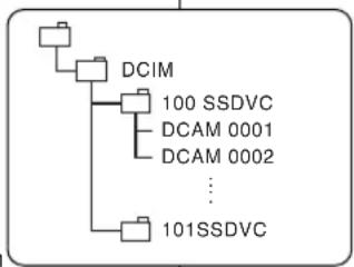 SAMSUNG SCD250 - Structure of folders and files on the Memory Stick - 1