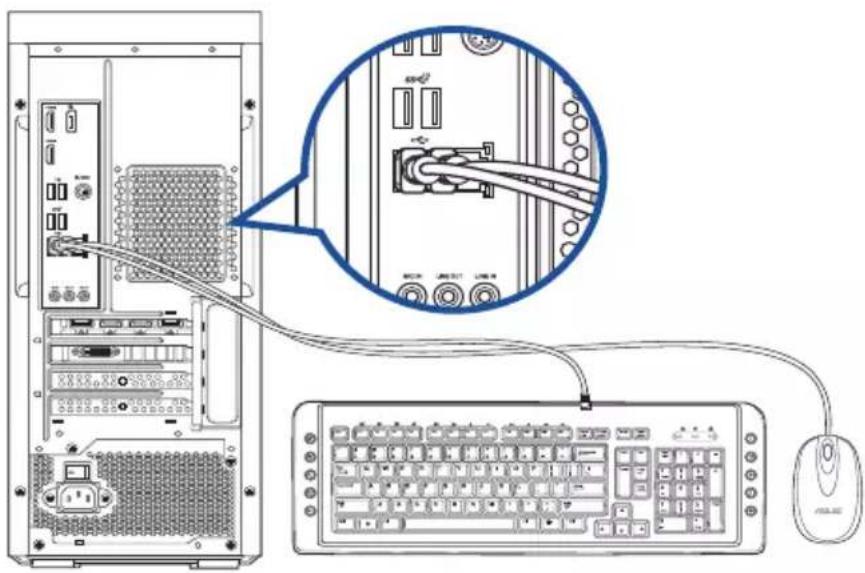 ASUS ProArt Station PD5 PD500TE - การเชื่อมต่อแบ้นพิมพ์ USB และมาส์ USB - 1