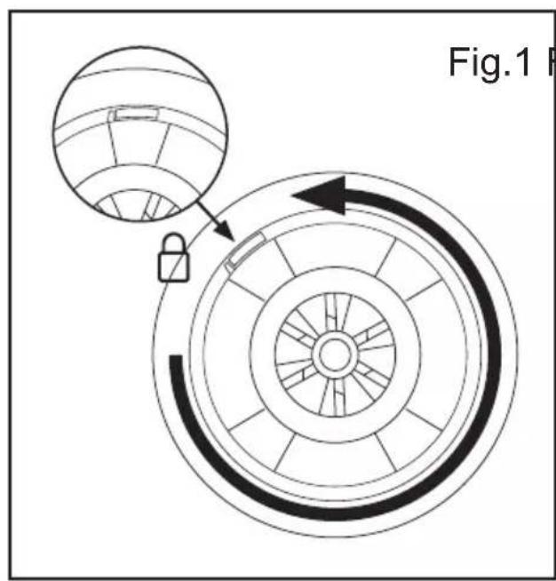 Fig.1 R
