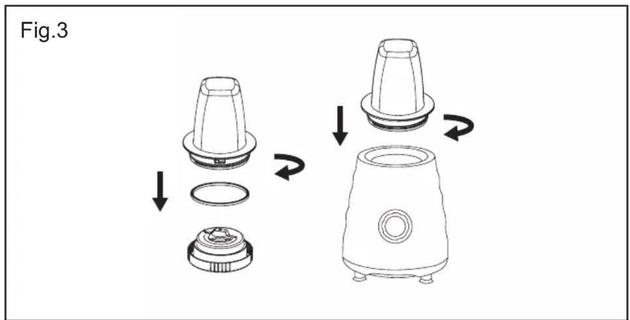 Fig.3