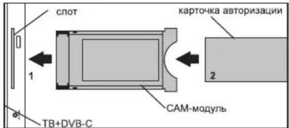 DEXP F43D8000Q - Установка модуля Cl в слот Cl - 1