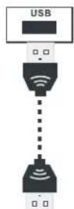 DEXP H24C3000E - Вход USB - 1