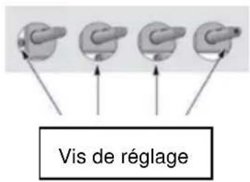 TAURUS CG4HN/B - Réglage du niveau minimum de la flamme - 2