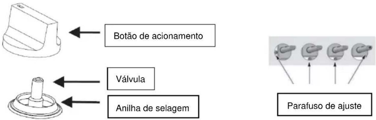 TAURUS GI4EB - Regulação do nível mínimo da chama - 1