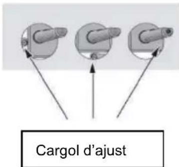 TAURUS CG3HN/B - Canvi dels injectors dels cremadors - 3