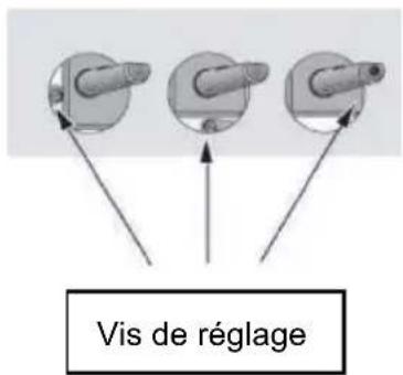 TAURUS CG3HN/B - Réglage du niveau minimum de la flamme - 2