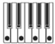 KORG Opsix MKII - PTRN (motif d'arpège) - 11