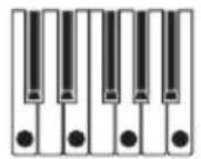 KORG Opsix MKII - PTRN (motif d'arpège) - 7