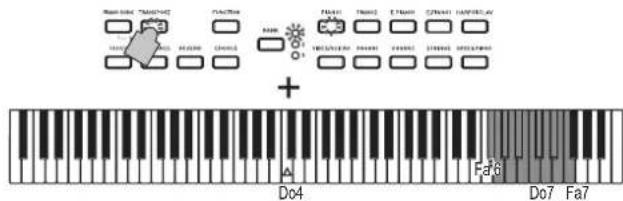 KORG Poetry - Transmisión - 2