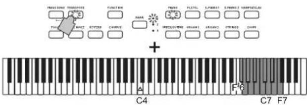 KORG Poetry - ト lamnstp-（移調）る - 2