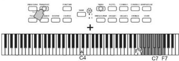 KORG Poetry - Transponierung - 2