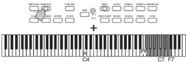 KORG Poetry - Transpose - 2