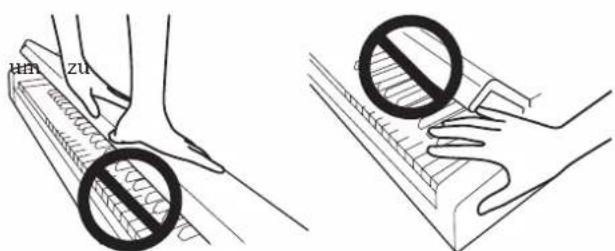 KORG Poetry - Schlieben des Tastaturdeckels - 4