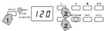 KORG Poetry - Specifying the tempo - 1