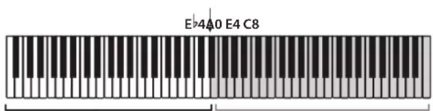 KORG Poetry - Entering Partner Mode - 2