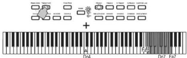 KORG Poetry - Fonction Transpose - 2