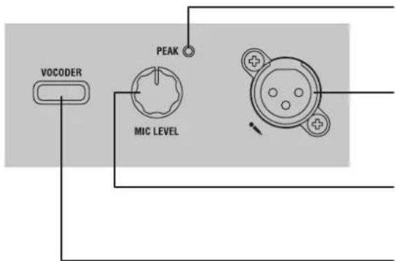 KORG KingKorg NEO - Panel frontal (VOCODER) - 2