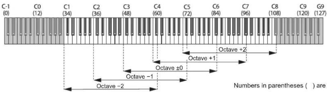 KORG KingKorg NEO - Switching octaves - 1