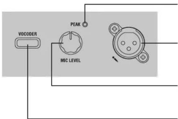 KORG KingKorg NEO - Front panel (VOCODER) - 2