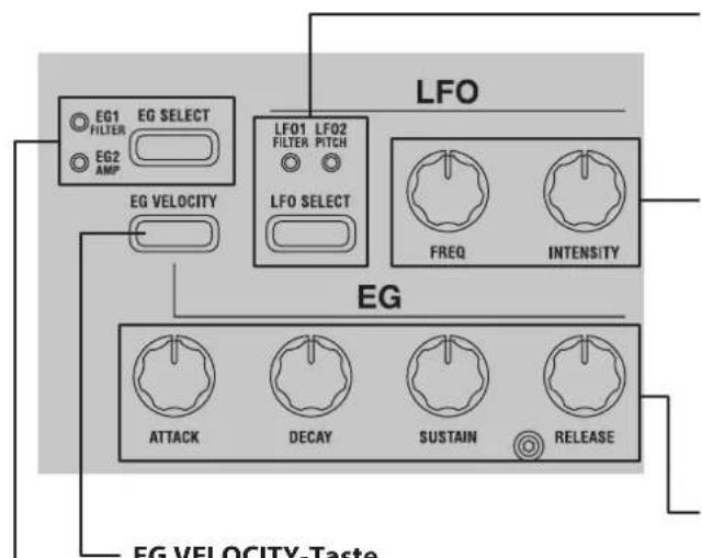 KORG KingKorg NEO - Oberseite (LFO/EG) - 2