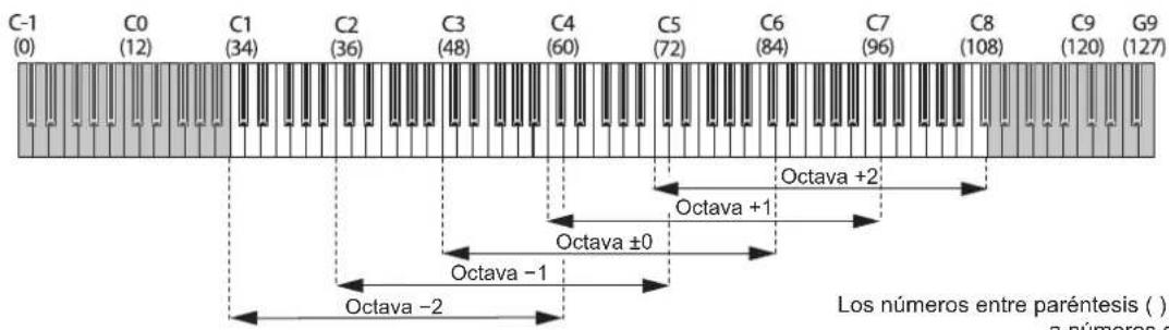 KORG KingKorg NEO - Cambiar octavas - 1
