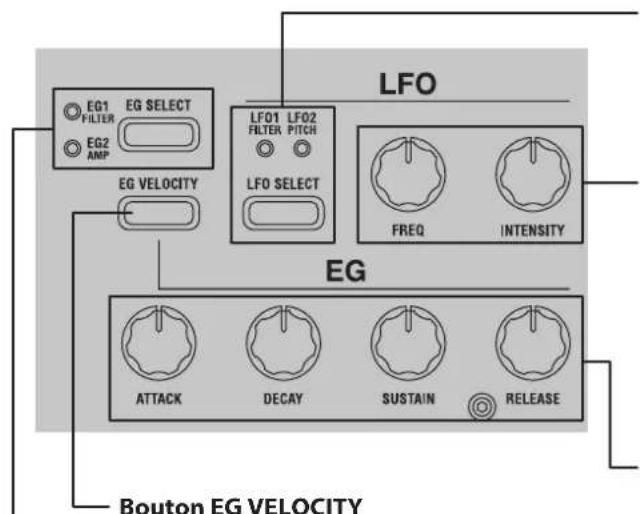 LFO EG1 EG SELECT FILTER EG2 AMP LF01 LF02 FILTER PITCH LFO SELECT EG FREQ INTENSITY EG ATTACK DECAY SUSTAIN RELEASE Bouton EG VELOCITY