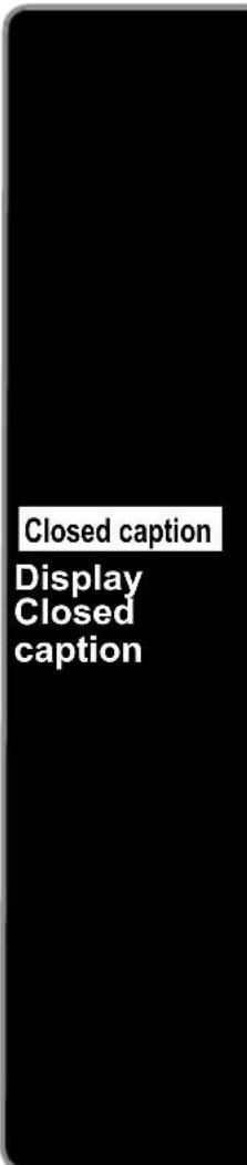 PANASONIC Viera TC-L32C12 - Closed Caption - 2