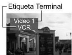 PANASONIC Viera TC-L32C12 - ■ Seleccione el terminal y la etiqueta del equipo externo - 4