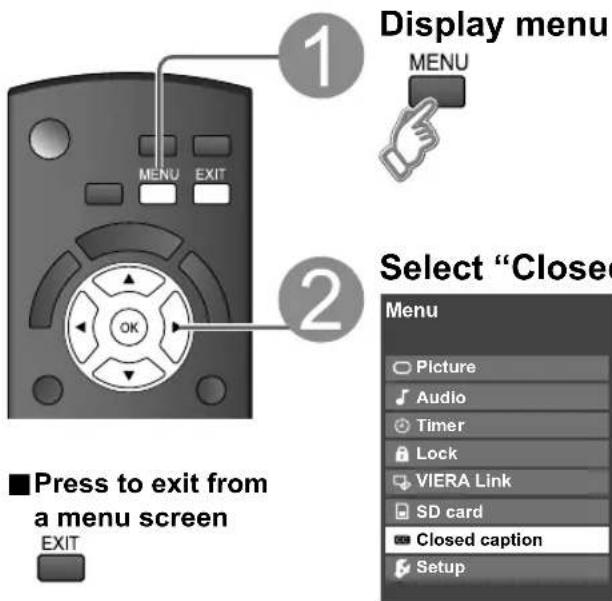 PANASONIC Viera TC-L32C12 - Closed Caption - 1