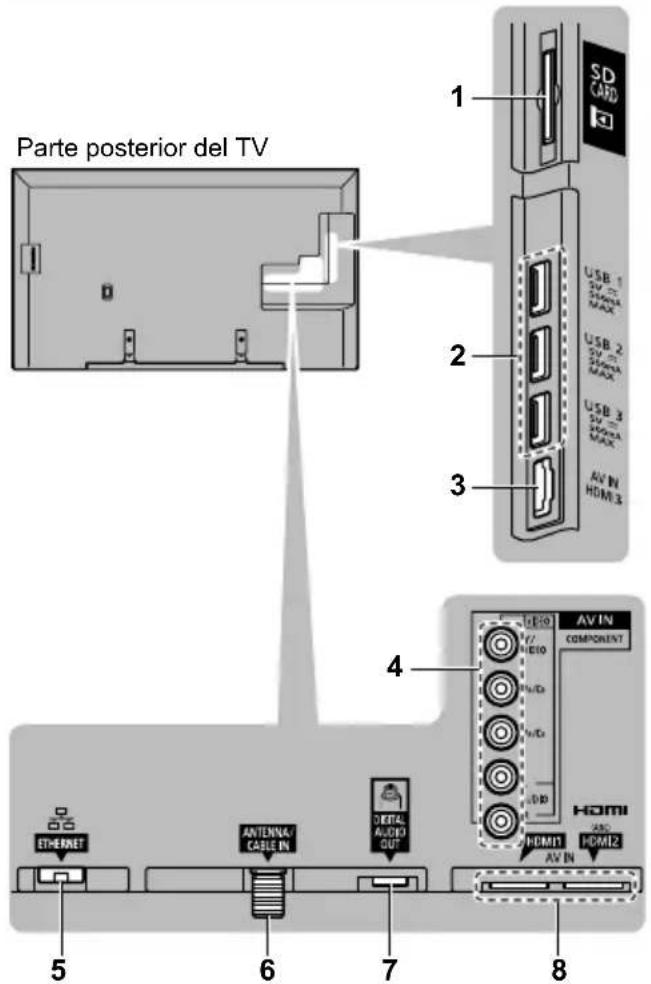 PANASONIC Viera TC-55CX800 - Conexiones - 1