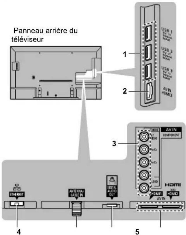PANASONIC TC-50CX600 - Connexions - 1