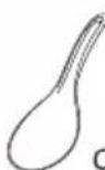 PANASONIC SR-G06FGE - Accessoires - 2