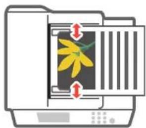 CANON imageRUNNER ADVANCE C356P III - Einlegen von Originaldokumenten in die Zufuhr - 1