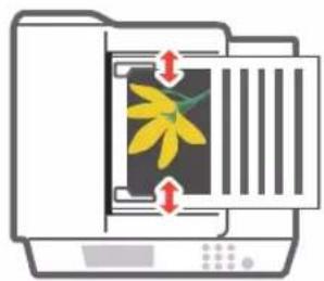 CANON imageRUNNER ADVANCE C475iZ III - Inserimento dei documenti originali nell'alimentatore - 1