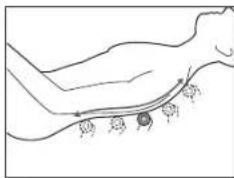 PANASONIC EP-MAF1 - Roulement/Roulement partiel - 1