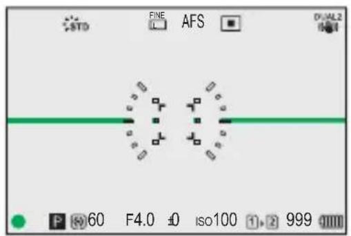 STD FINE AFS DUAL2 60 F4.0 ±0 iso100 1,2 999