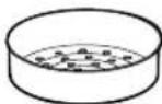 PANASONIC SR-JN185 - Identification des pièces - 4