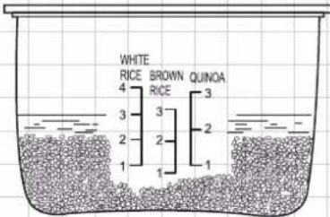 WHITE RICE 4 BROWN QUINOA RICE 3 2 2 1 1 2 3