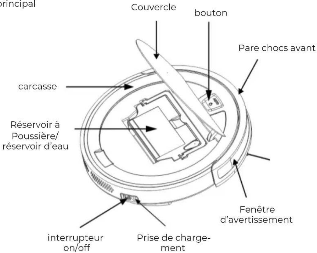 Prixton Siesta - Structure - 1
