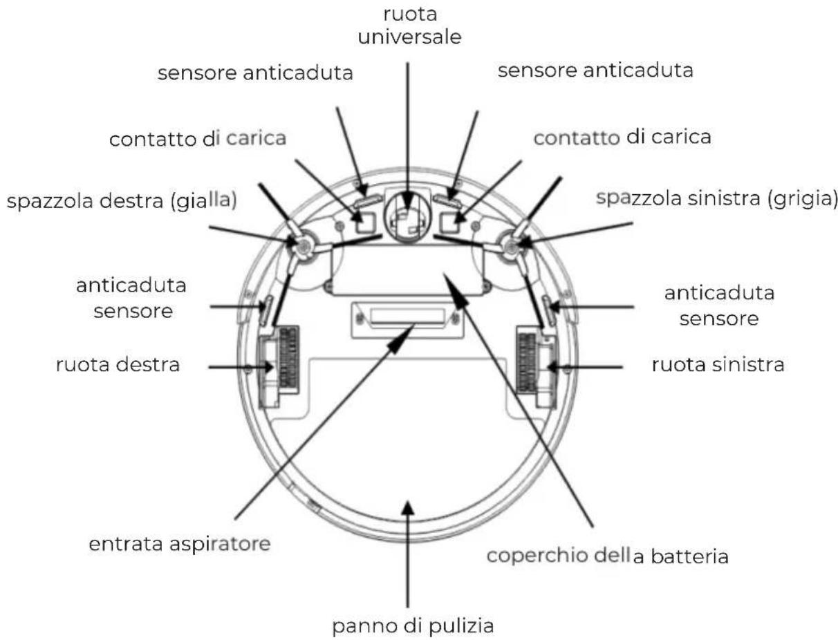 Prixton Siesta - 2.Struttura Corpo principale - 2
