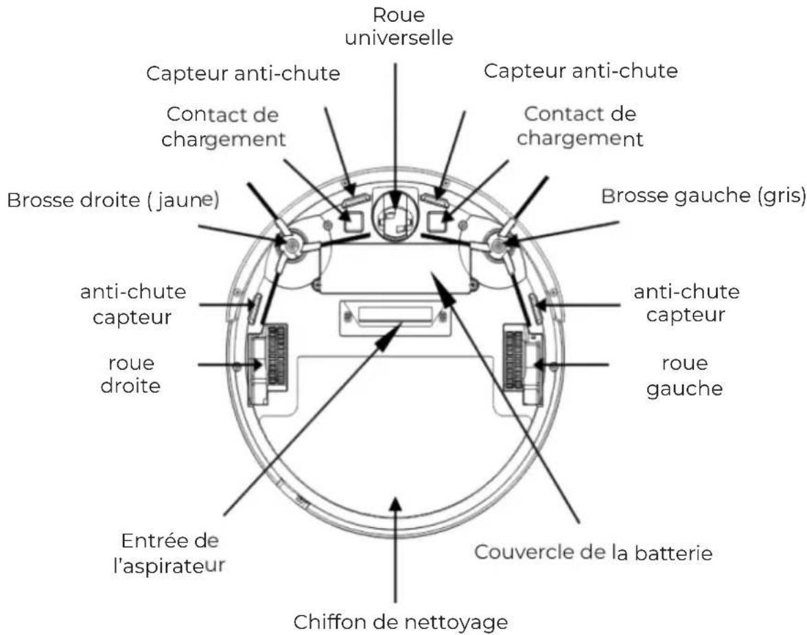 Prixton Siesta - Structure - 2